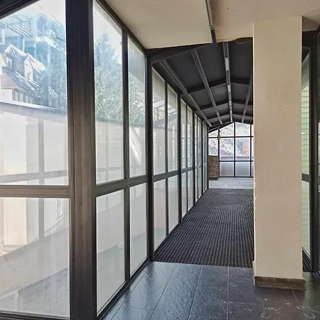 Estudio Superior Serraneu